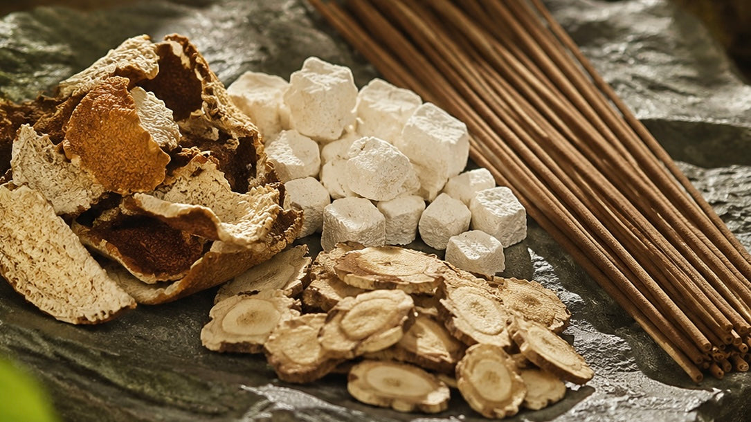 The Fluid Boundary: Why "Edible" is the Ultimate Standard for Healing